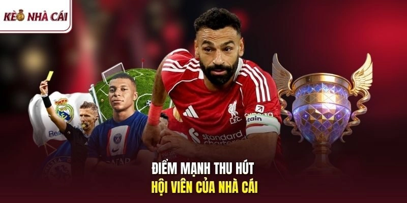 Điểm qua các bộ môn thể thao nổi bật tại Vin88